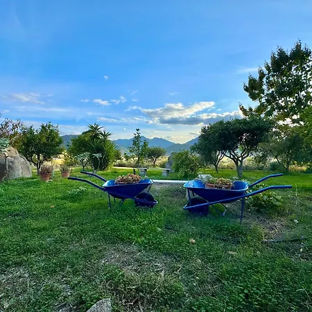Διαμέρισμα Happy With Garden *