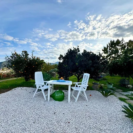Happy With Garden * Cardedu