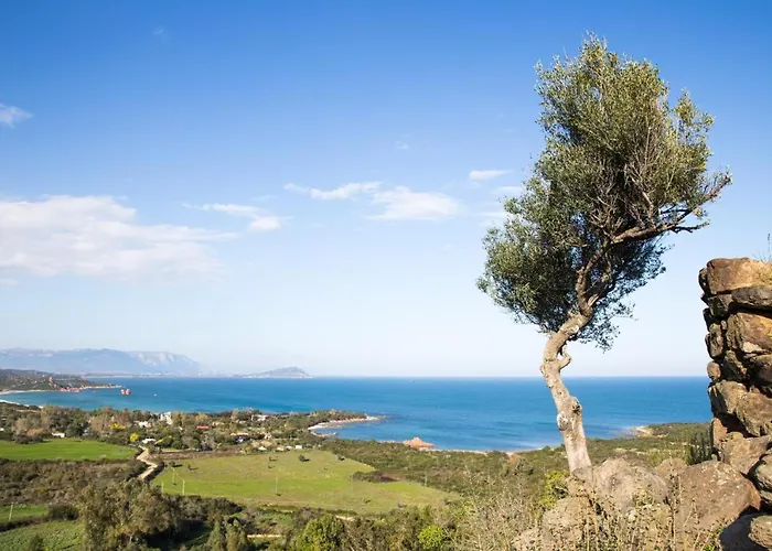 Happy With Garden Daire *