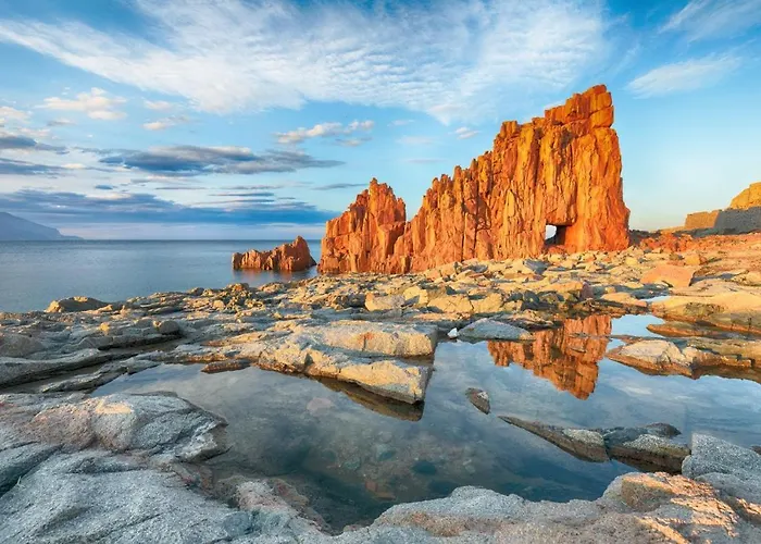 Happy With Garden Daire *