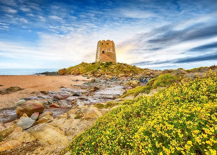 Happy With Garden Daire