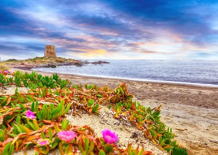 Daire Happy With Garden *